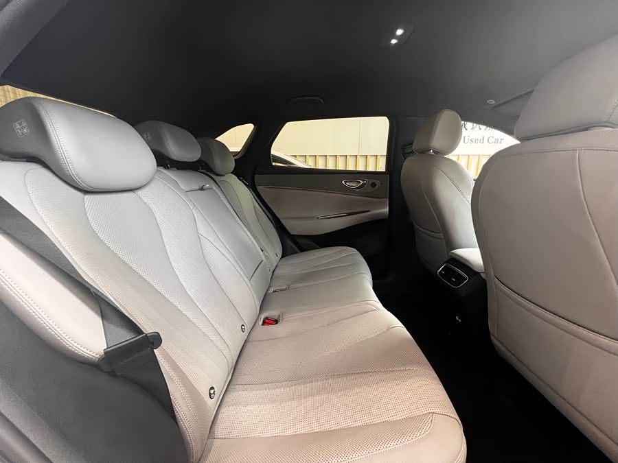 BYD Sea Lion 06 New Energy 2025 car image #10