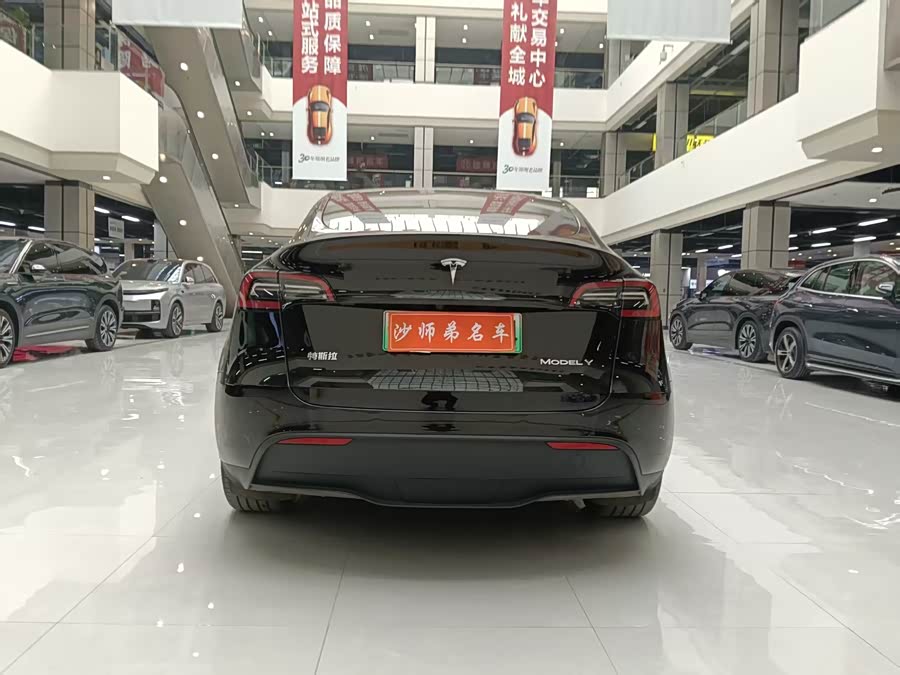 Tesla Model Y 2023 car image #10