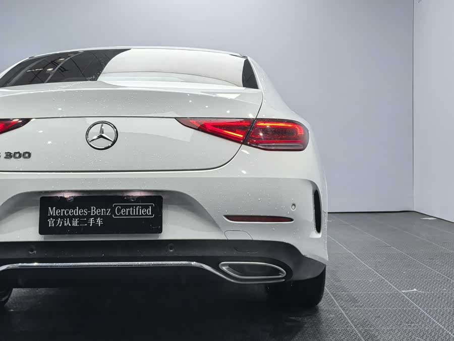 Mercedes-Benz CLS Class 2022 immagine di auto #10