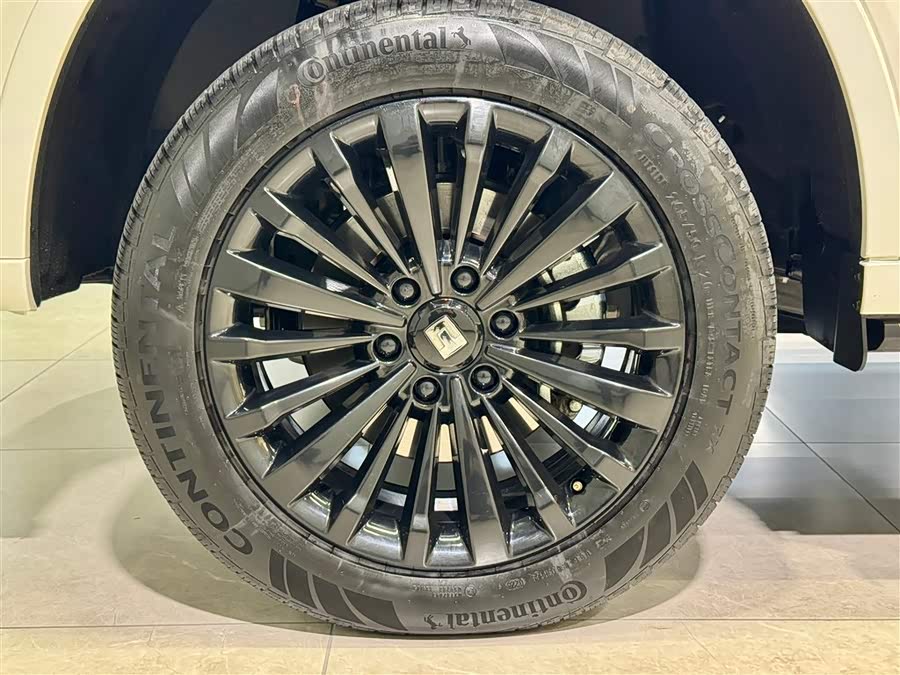 Tank 500 New Energy 2025 car image #10