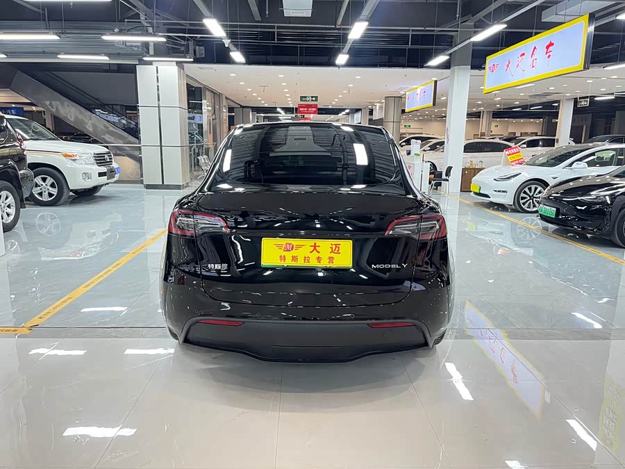Tesla Model Y 2022 car image #10