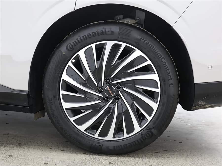 Exceed Stellar Era ET 2024 car image #10