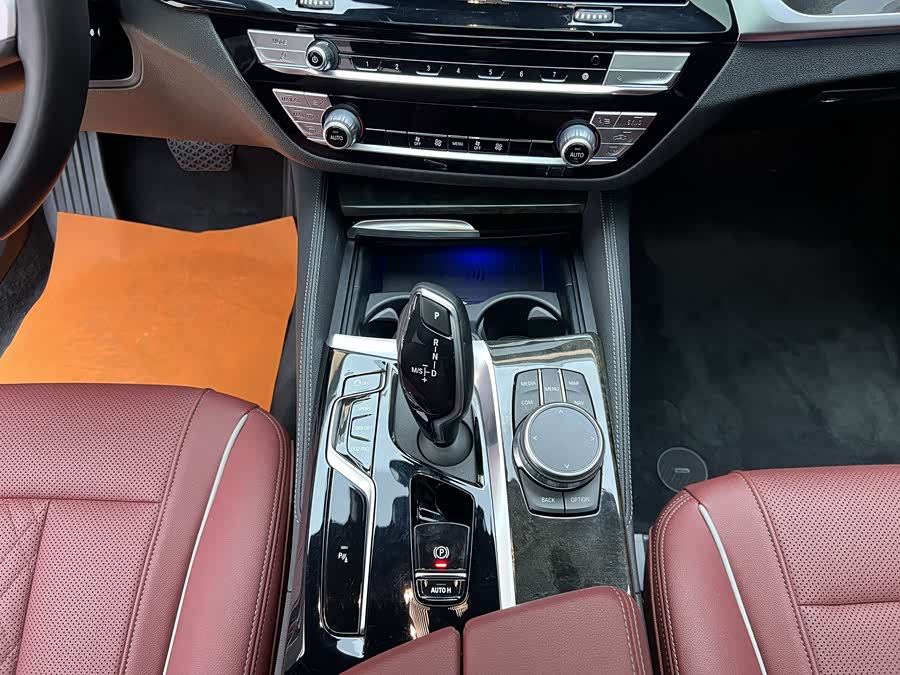 BMW 5 Series 2022 car image #10