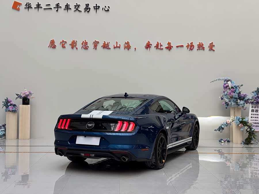 Ford Mustang 2023 #10 Ford Mustang 2023 car image #10
