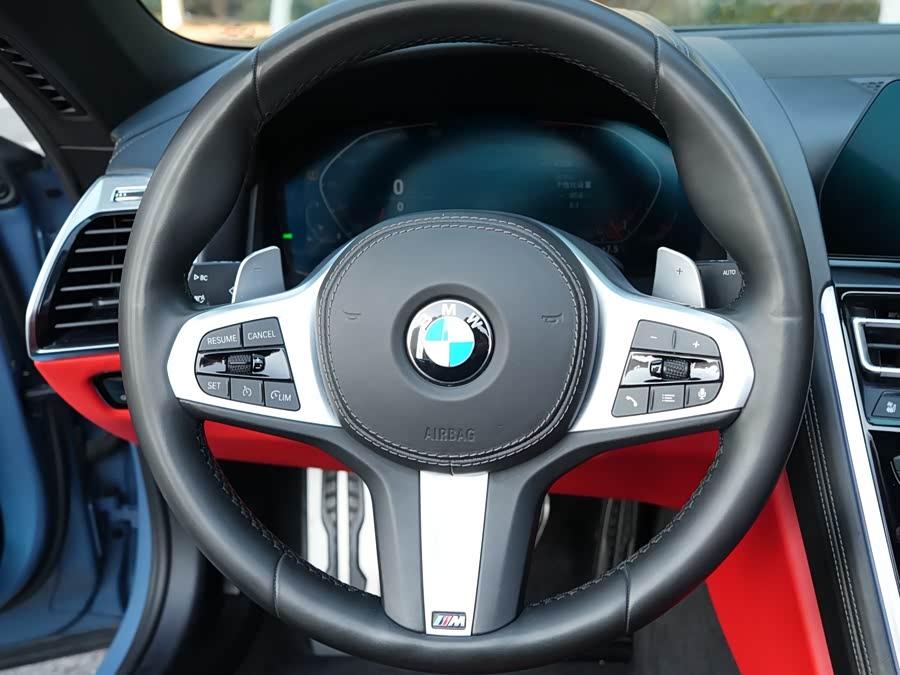 BMW 8 Series 2019 car image #10