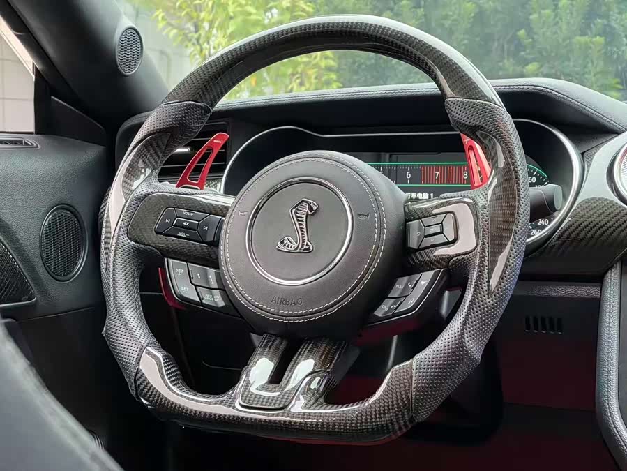 Ford Mustang 2021 #10 Ford Mustang 2021 car image #10