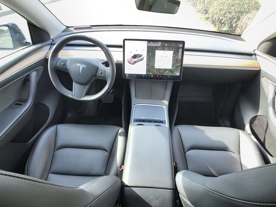 Tesla Model Y 2021 car image #10