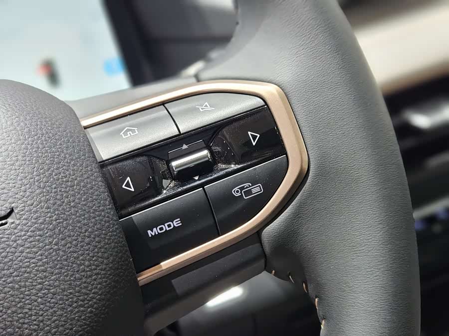 睿蓝汽车 睿蓝9 2024 汽车图片 #10