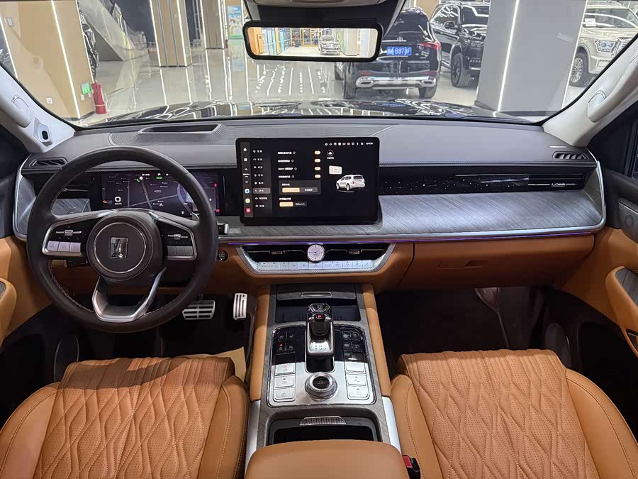 坦克 坦克500 2022 汽车图片 #10