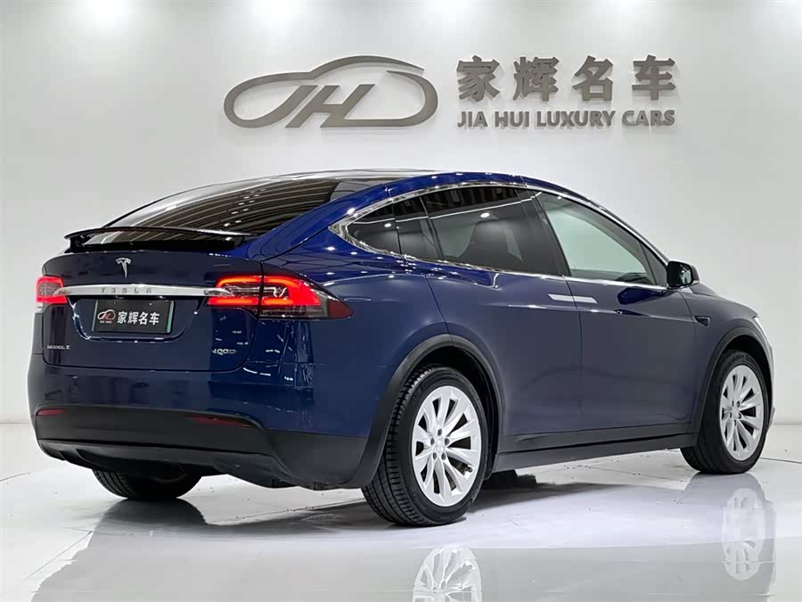Tesla Model X 2018 car image #10