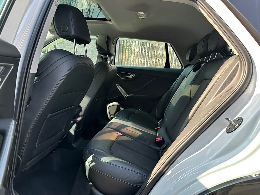 奥迪 奥迪Q2L e-tron 2020 汽车图片 #10