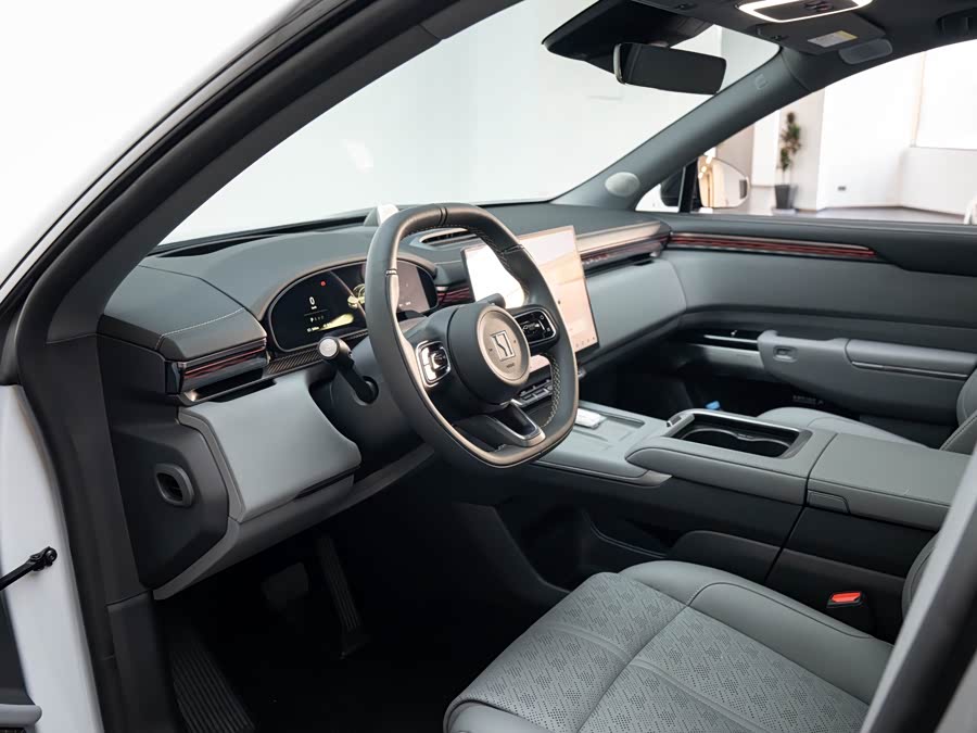 Zeekr 7X 2025 imagem de carro #10