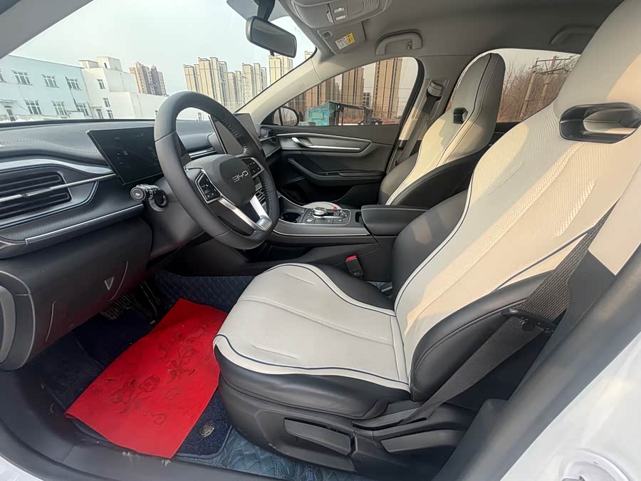 BYD Destroyer 05 2024 car image #10