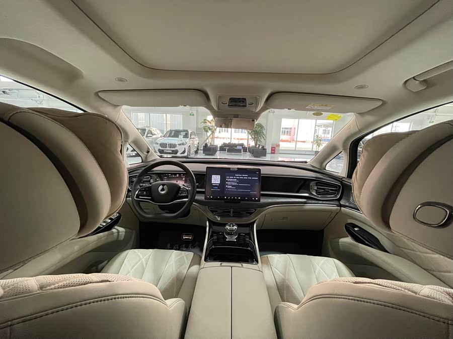 Denza D9 2025 imagen de coche #10