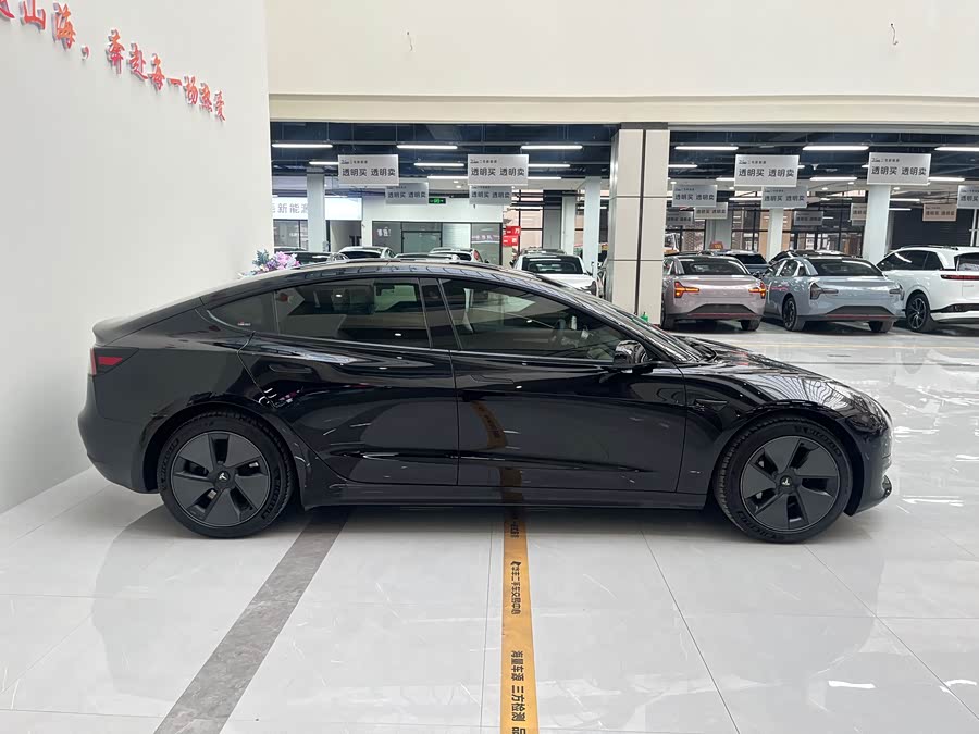 Tesla Model 3 2021 car image #10