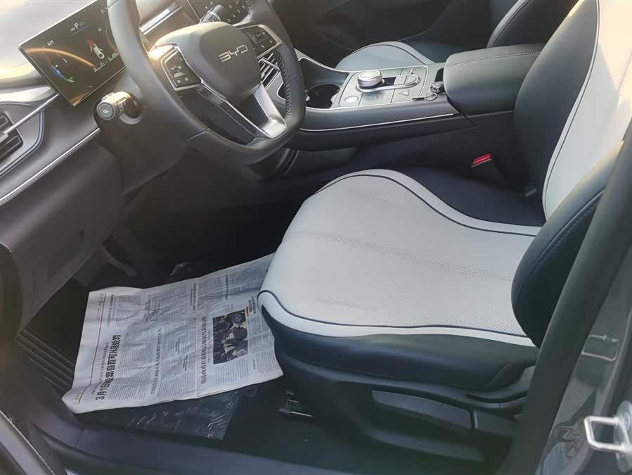 BYD Destroyer 05 2024 car image #10