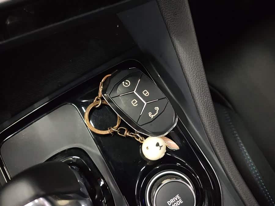Lynk & Co 03 New Energy 2021 car image #10