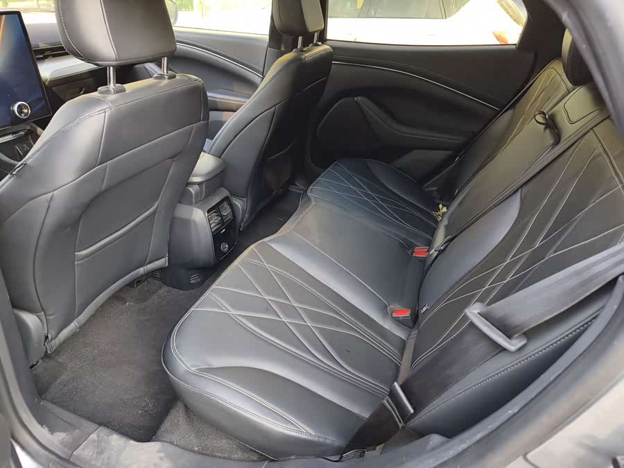 Ford Mustang Mach-E 2022 #10 Ford Mustang Mach-E 2022 car image #10