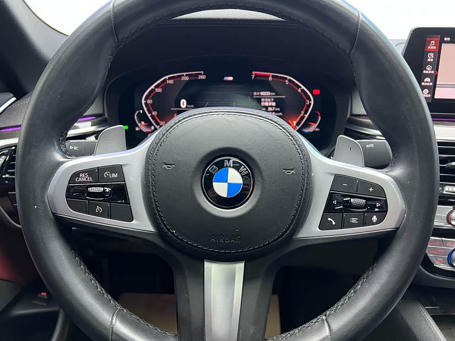 BMW 5 Series 2019 car image #10