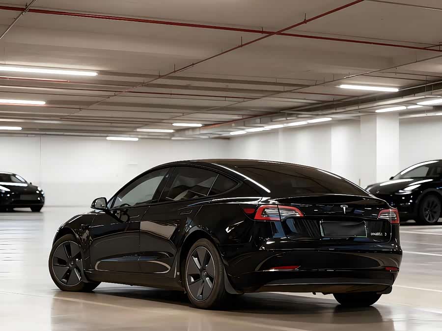 Tesla Model 3 2023 immagine di auto #10