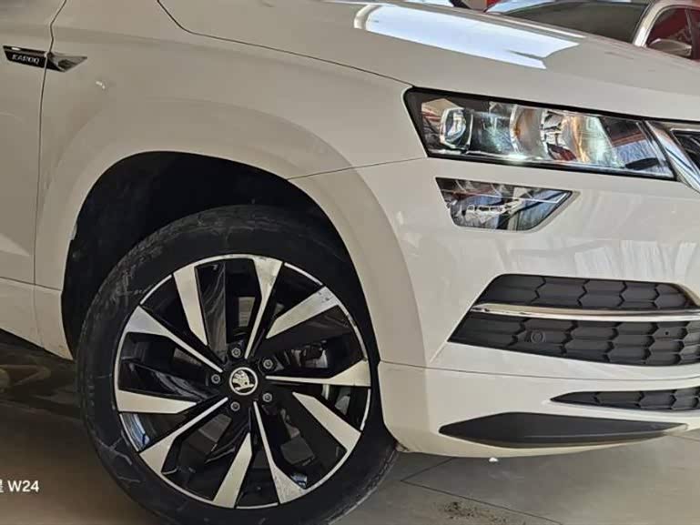 Skoda Karoq 2021 car image #10