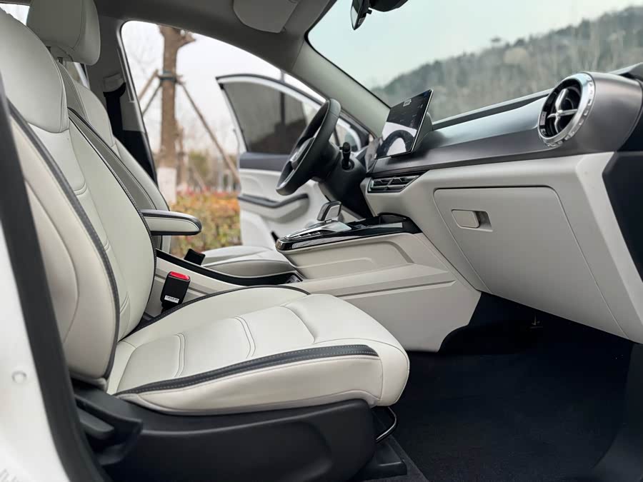 BYD Yuan Pro 2022 car image #10