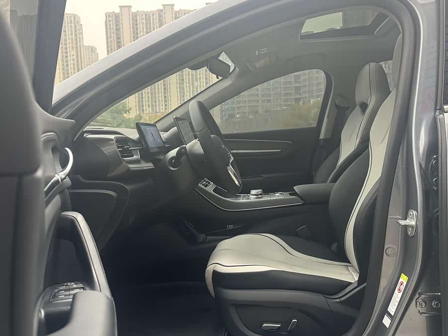 BYD Destroyer 05 2024 car image #10