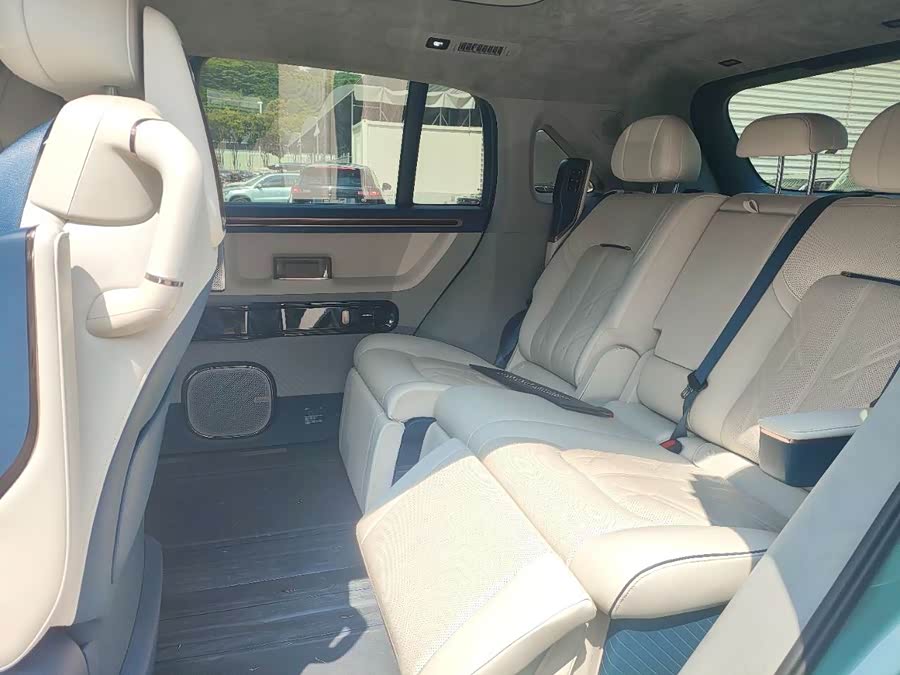 极氪 极氪MIX 2024 汽车图片 #10