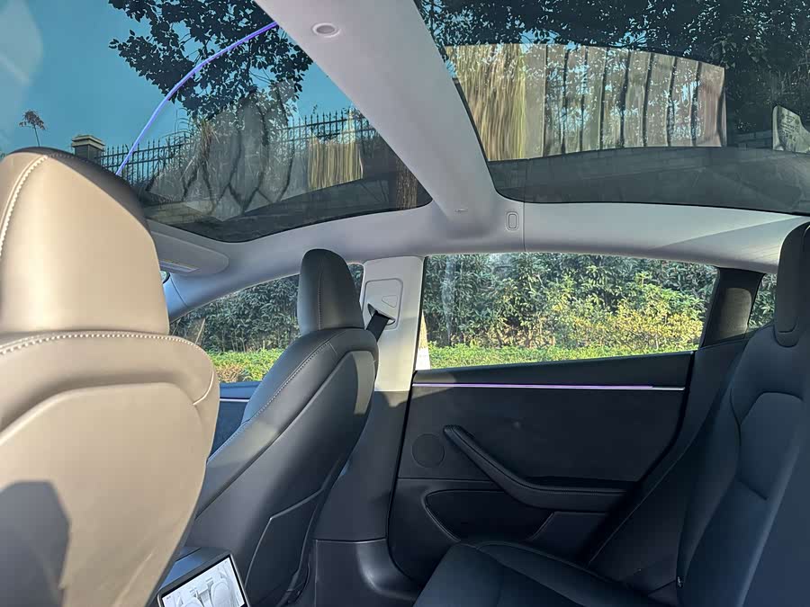 Tesla Model 3 2024 car image #10