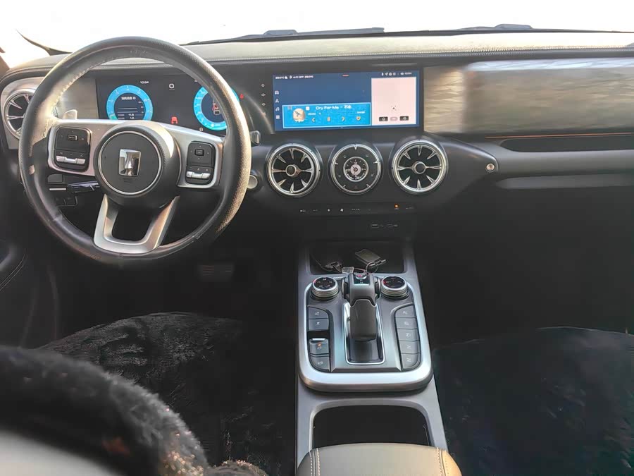 Tank 300 2024 car image #10