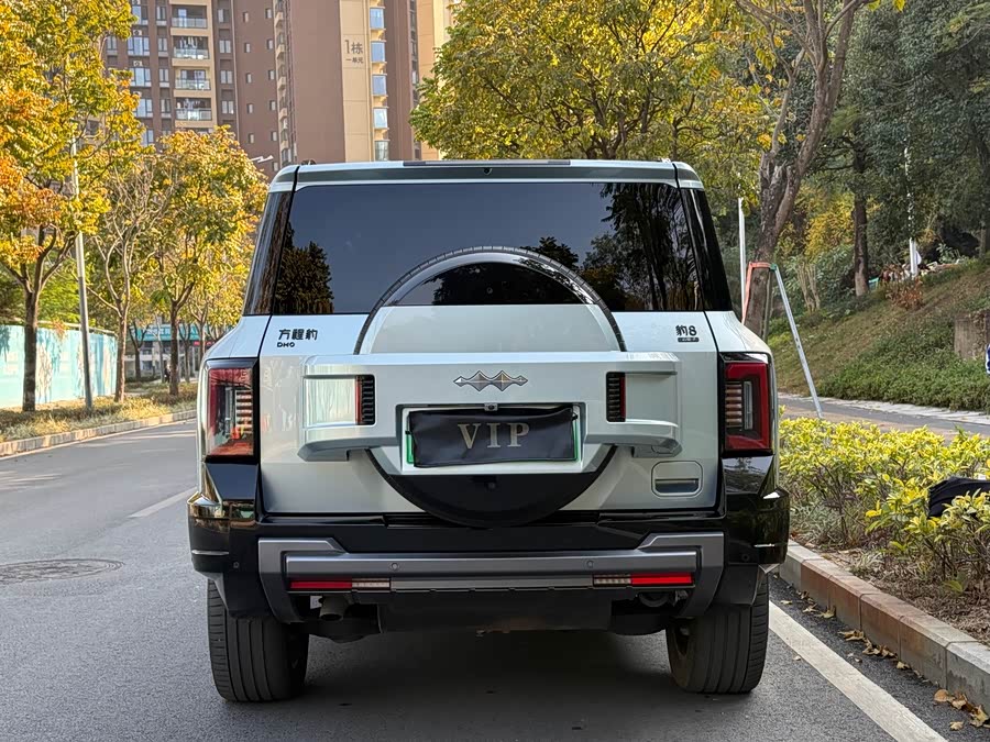 FangChengBao Leopard 8 2024 car image #10