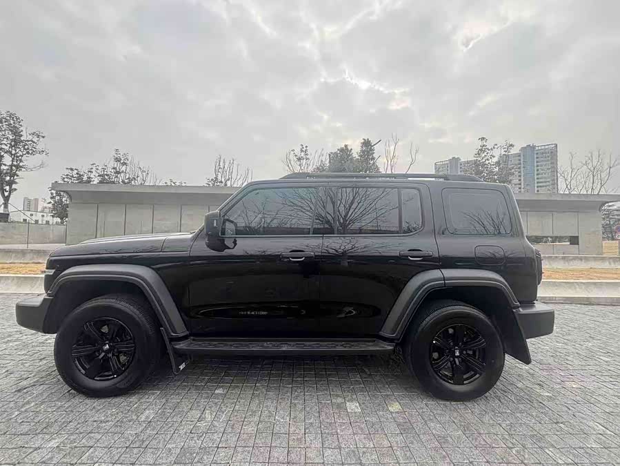 Tank 300 2021 car image #10