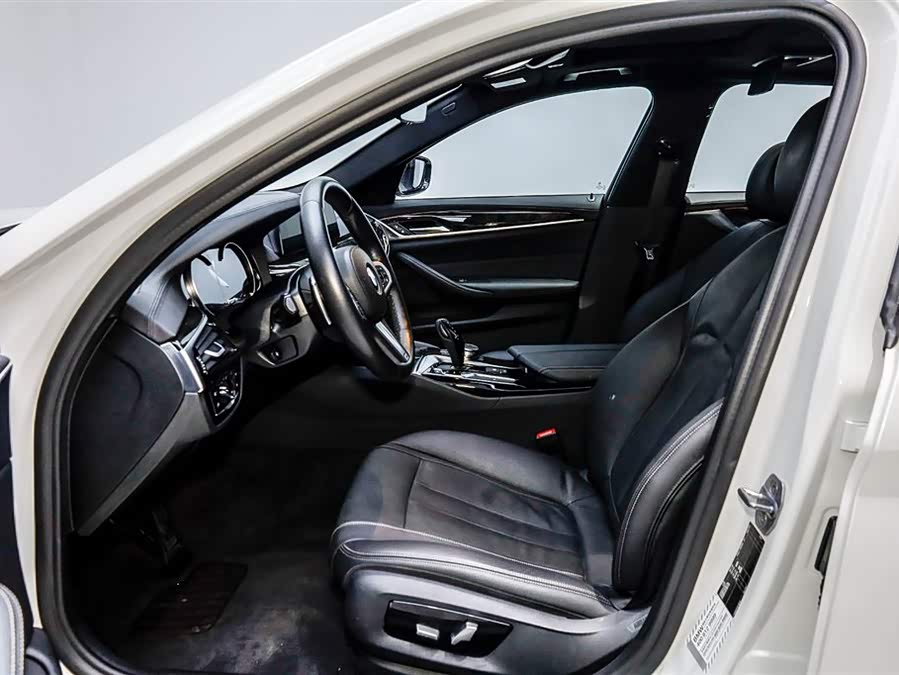 BMW 5 Series 2019 car image #10