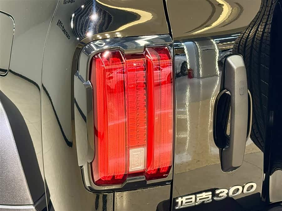 Tank 300 2024 car image #10