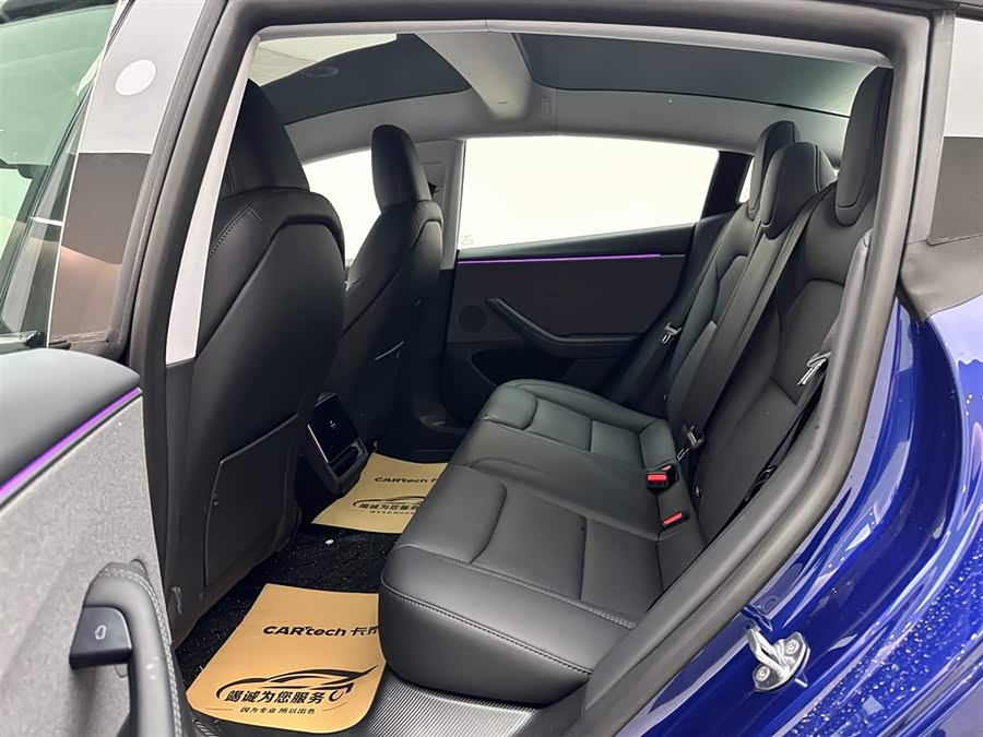 Tesla Model 3 2020 car image #10