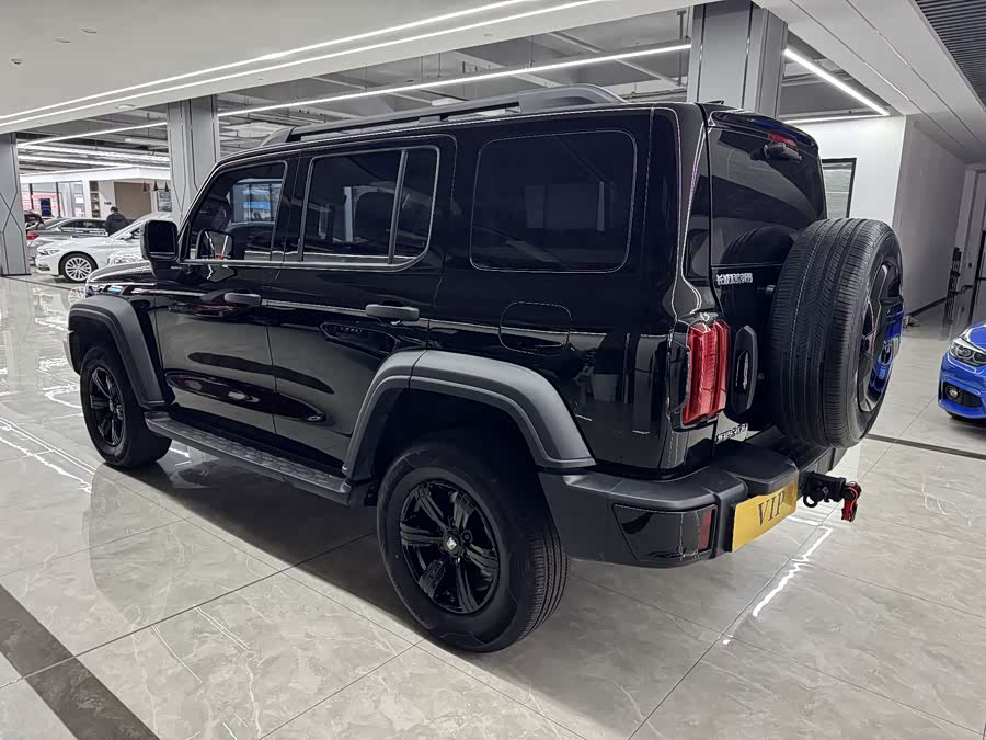 Tank 300 2024 car image #10