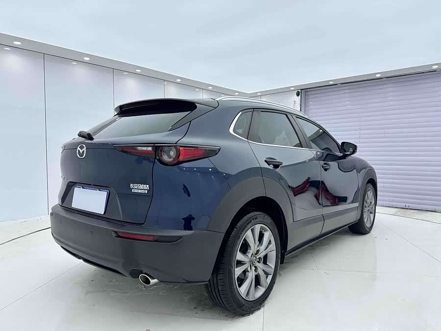 Mazda CX-30 2021 car image #10