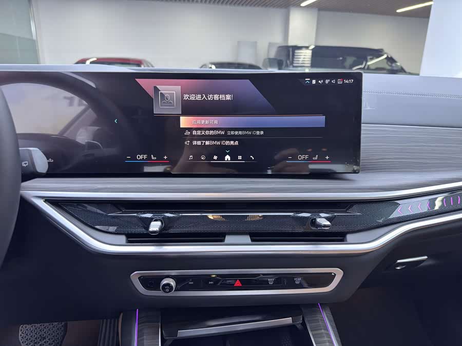 BMW X7 immagine di auto #10