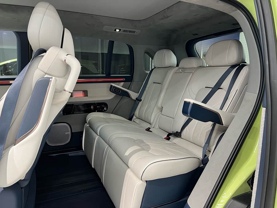 极氪 极氪MIX 2024 汽车图片 #10