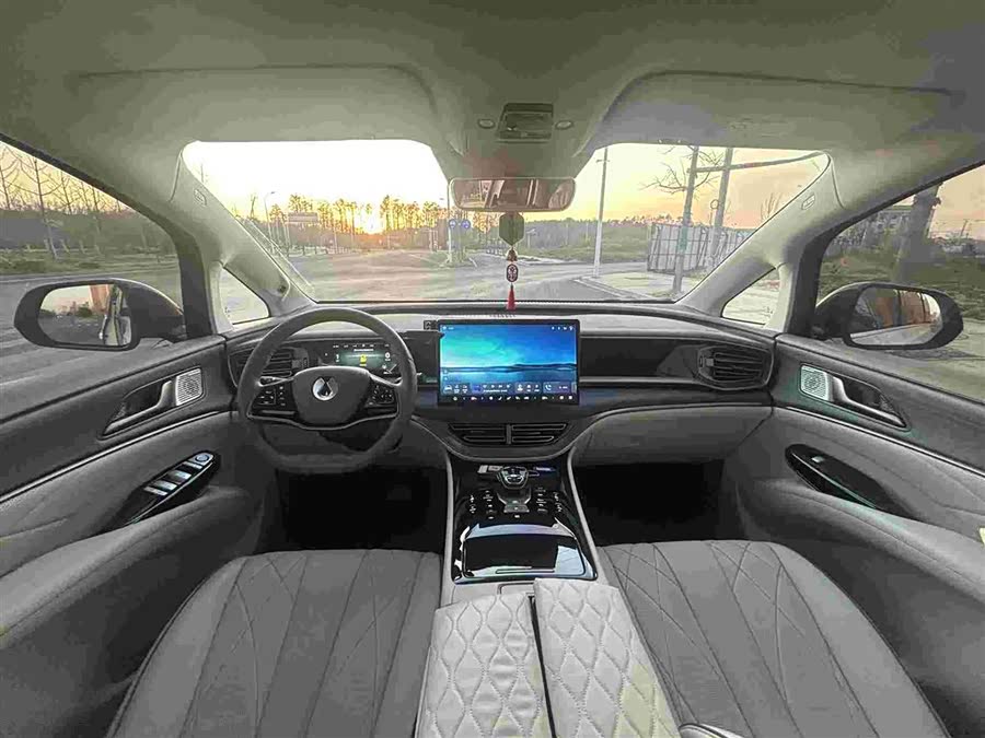 Denza D9 2023 immagine di auto #10