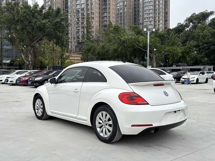 Volkswagen Beetle 2013 immagine di auto #10