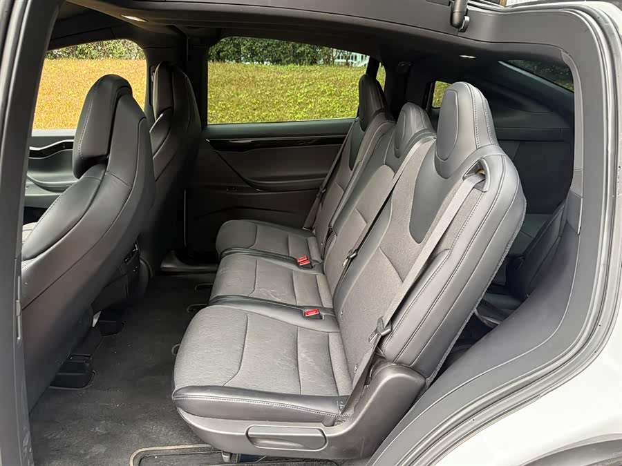 Tesla Model X 2019 car image #10