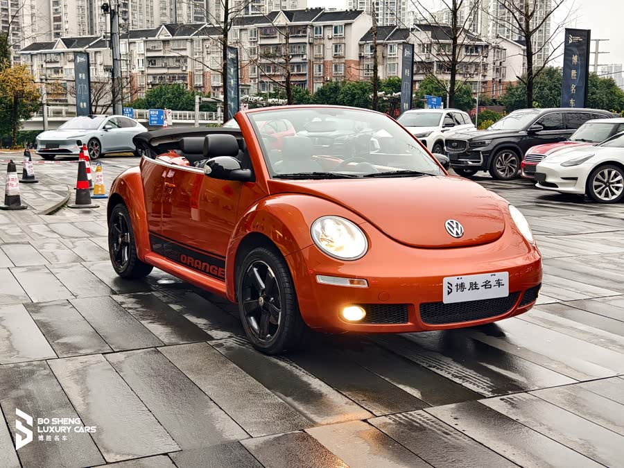 Volkswagen Beetle 2010 immagine di auto #10