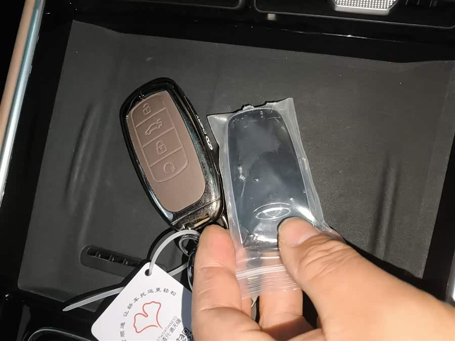 Chery Tiggo8L 2025 car image #10