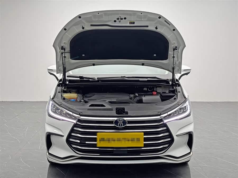 BYD Song MAX 2021 #10 BYD Song MAX 2021 immagine di auto #10