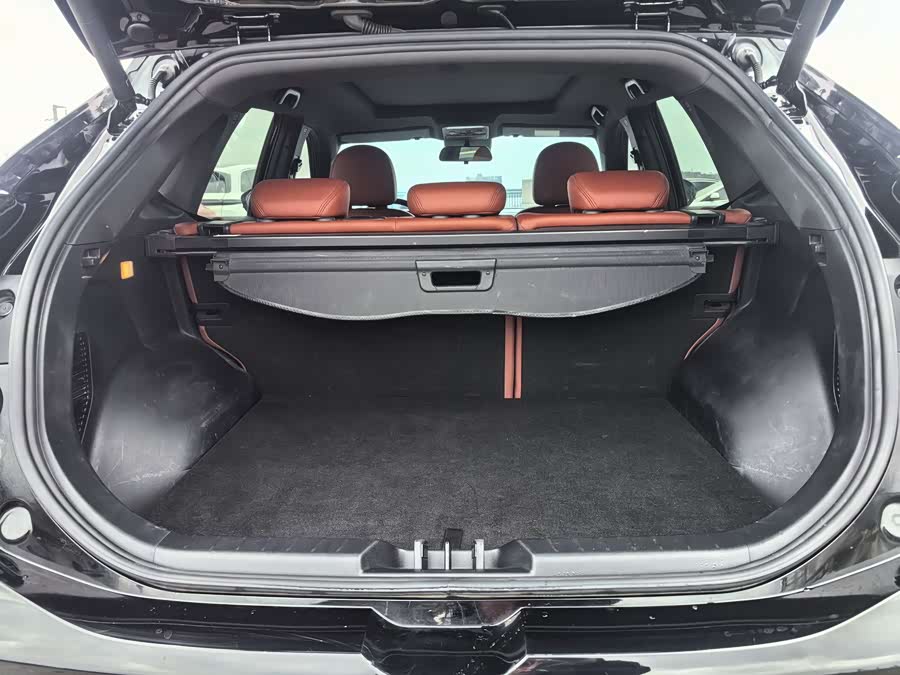 Forthing T5 EVO 2022 car image #10