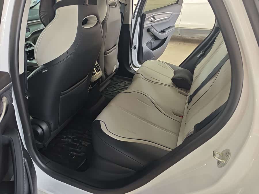 BYD Destroyer 05 2024 car image #10