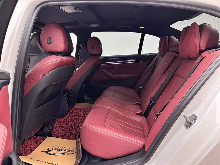 BMW 5 Series 2020 car image #10