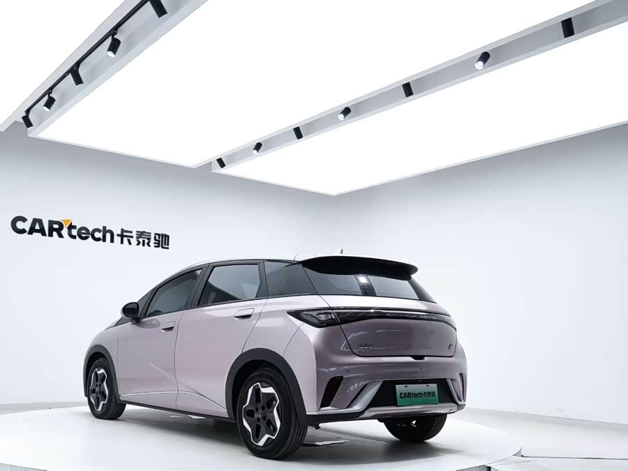 BYD Dolphin 2023 immagine di auto #10