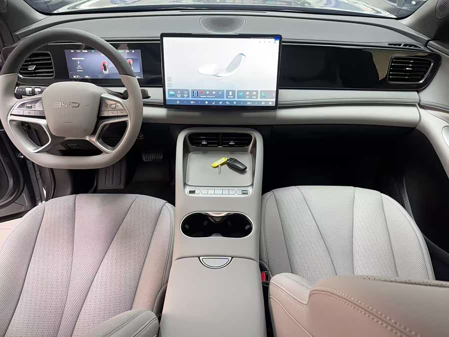 BYD Sea Lion 06 New Energy 2025 car image #10